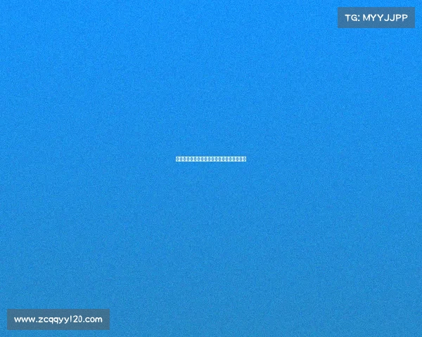 欧冠赛场客队球迷的热血支持与独特文化解析